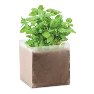 BASIL – Beige