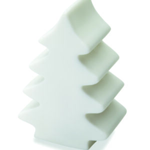 Lumière changeante  sapin