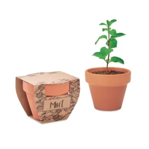 MINT POT – Bois