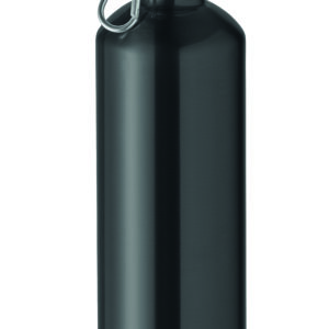 Bouteille à simple paroi 1L