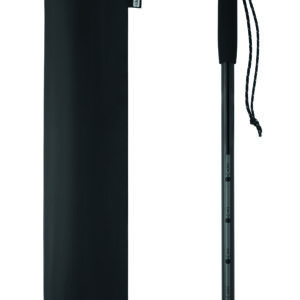 Bâton de marche télescopique