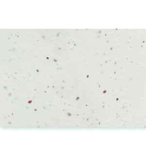 Carte de visite pour les graine