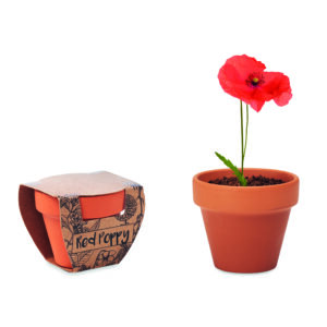 Pot graines de coquelicot