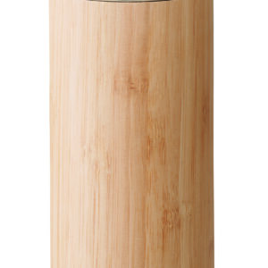 Bouteille bambou double paroi