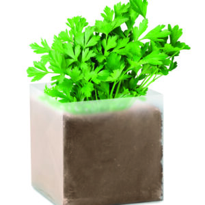 Substrat avec graines Persil