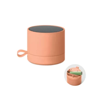 RECAR – Orange RECAR – Orange